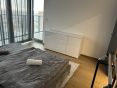 Rent One bedroom apartment, One bedroom apartment, Pribinova, Bratisla