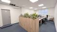 Rent Offices, Offices, Mýtna, Bratislava - Staré Mesto, Slovakia