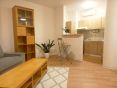 Rent One bedroom apartment, One bedroom apartment, Suché mýto, Bratisl