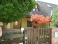 Rent Family house, Family house, Suchá, Bratislava - Nové Mesto, Slova