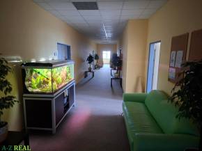 Rent Offices, Offices, Drobného, Bratislava - Dúbravka, Slovakia