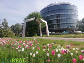  Rent Offices, Offices, Röntgenova, Bratislava - Petržalka, Slovakia